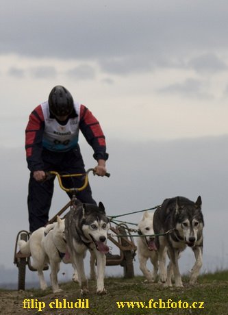 Trnavka 08 - 430.jpg